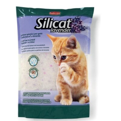 Silicat Lavender