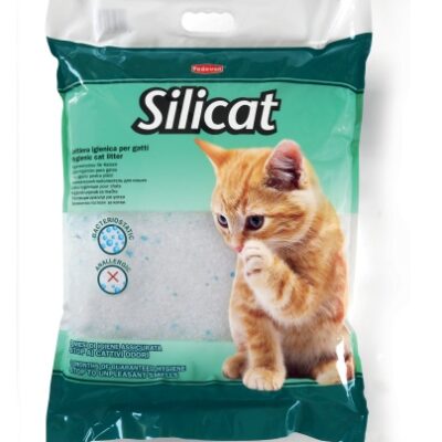 Silicat