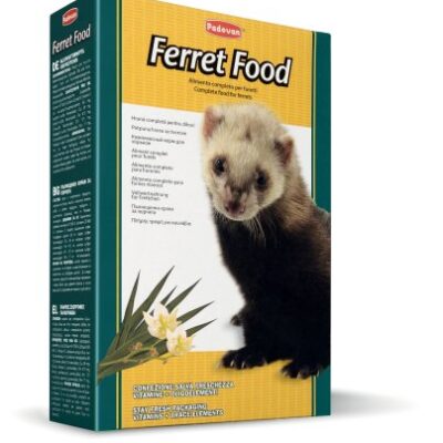 Ferret Food