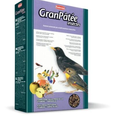 Granpatee Insectes