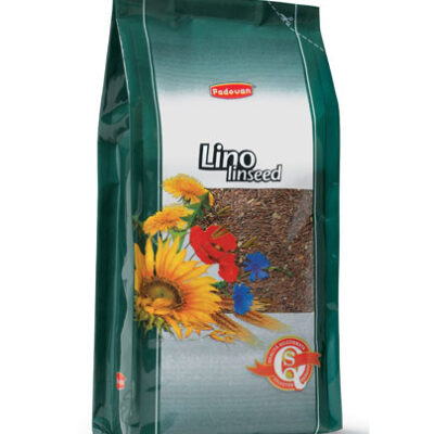 Lino