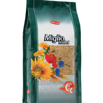 Miglio Giallo