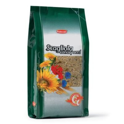 Scagliola
