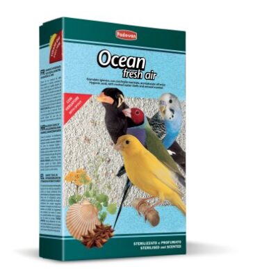 Ocean Fresh Air